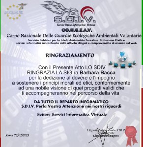 DIPLOMA RINGRAZIAMENTOROBERTAbaccs